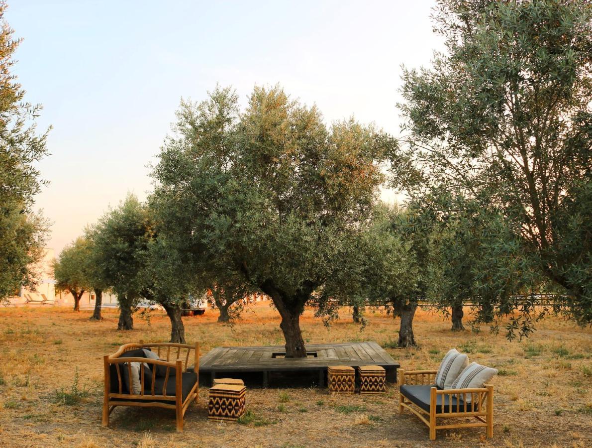 Torre De Palma Wine Hotel, Monforte, A Member Of Design Hotels מראה חיצוני תמונה